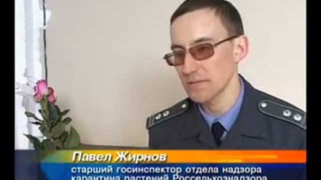 Проверка цветов (г.  Благовещенск 04.04.2011)