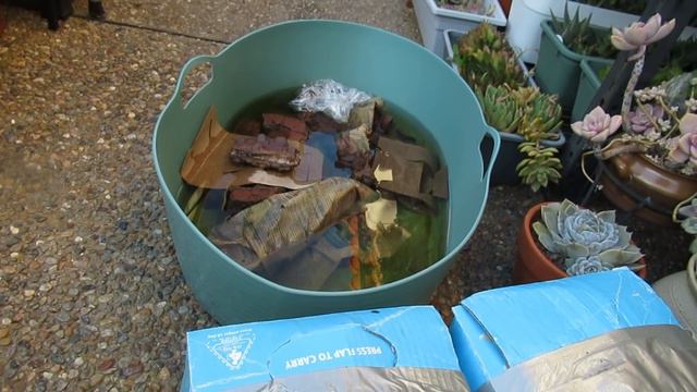 Pack & Unpack ROCKS FOR SUCCULENTS  (Part 2) | Growing Succulents with LizK