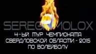 Волейбол с логотипом