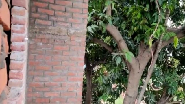 ANG PINAPATAYO NAMING BAHAY SA INDIA.. HOUSE CONSTRUCTION IN PATNA, INDIA.. Filipino-Indian Family