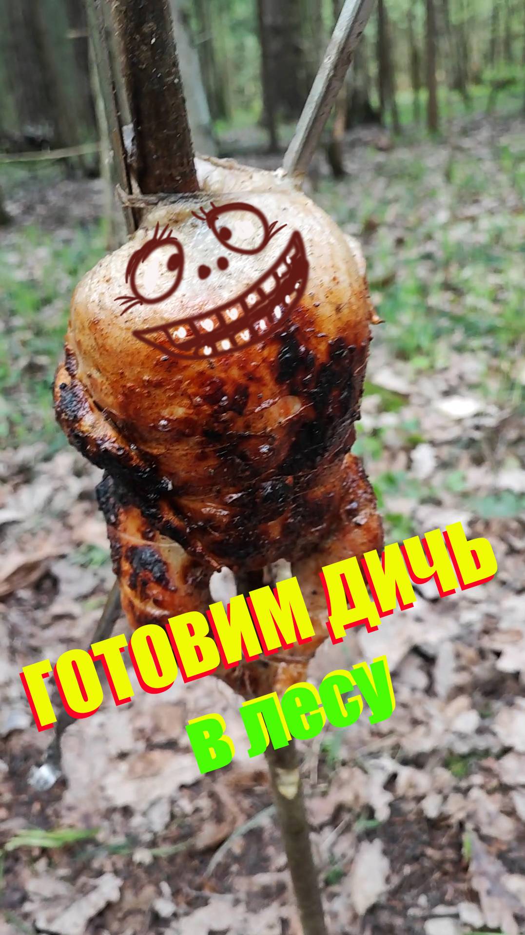 Лесная ДИЧЬ