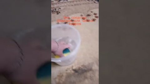 ШАМПУНЬ ДЛЯ КОВРОВ ОТ ЭКО КОМПАНИИ ЭРСАГ ♻️