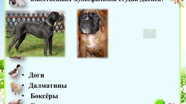 Викторина " Что мы знаем о домашних питомцах? "