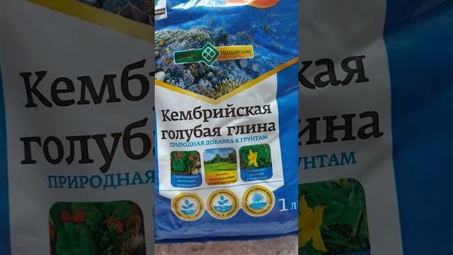 Кембрийская глина