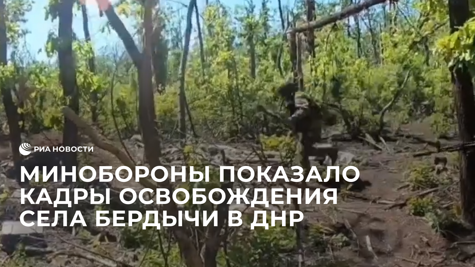 Минобороны показало кадры освобождения села Бердычи в ДНР