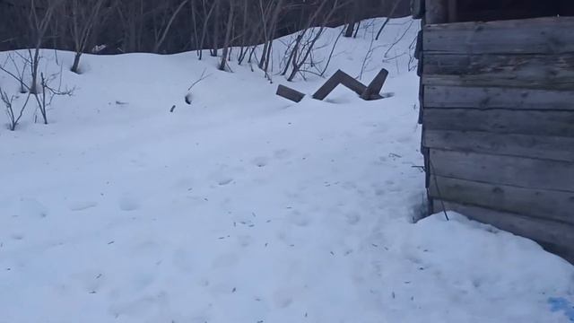 Заброшенная будка кпп плюс полигон (1)