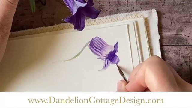 How To Paint A Clematis Rooguchi With Watercolors