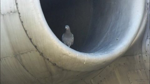 МУЗЫКА НЕБА или АВИАГОРОДОК