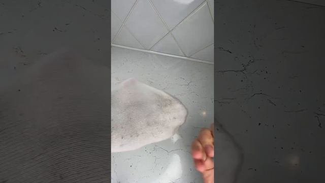 Как удалить катышки с носков