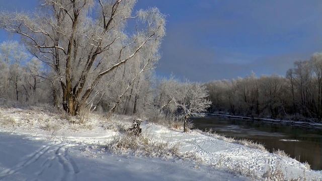 "Старый друг"     Павел Мут   Шансон  2018  новая песня