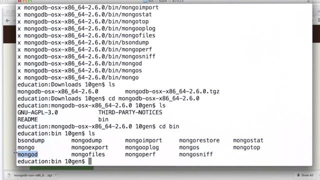installing mongodb on a mac