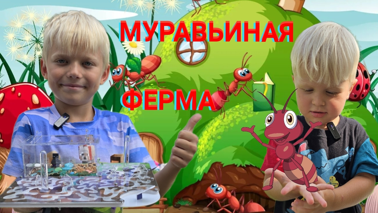 МУРАВЬИНАЯ ФЕРМА МАЙНКРАФТ