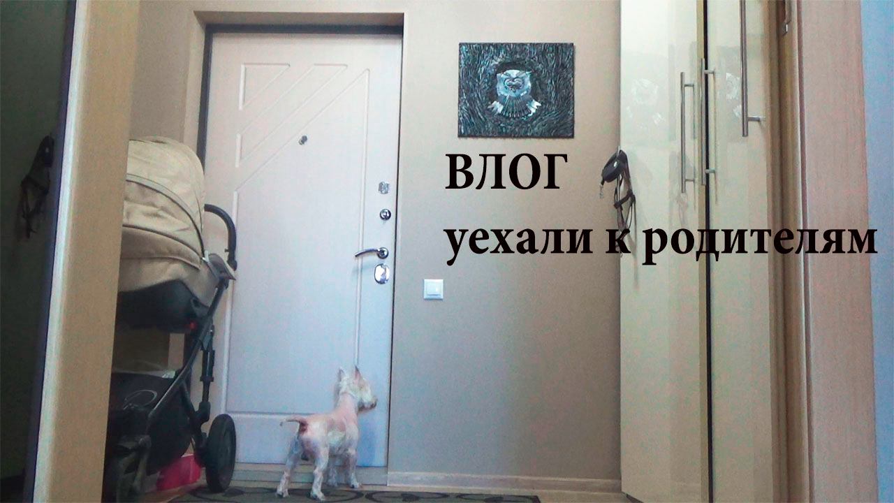 VLOG/ортопедические стельки/сиалор-проторгол