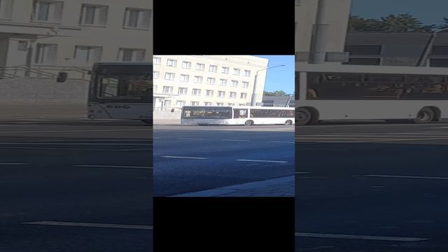 Автобус Белыничи МАЗ 206.086 АК 2704-6 Маршрут 201