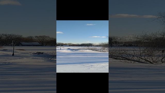 VID20240112134934.mp4