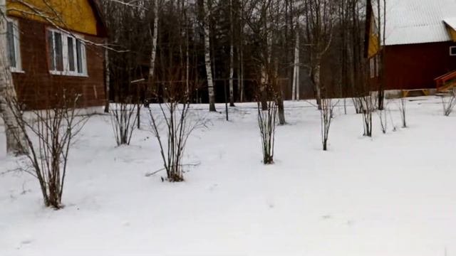 Миоры. База отдыха Актам. Миорское озеро.