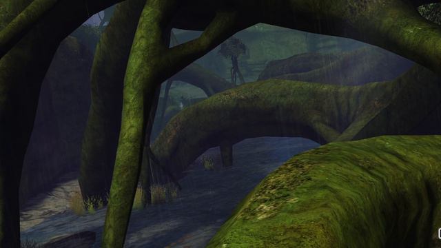 Vista - Caledon Forest - Sleive's Inlet (Guild Wars 2)