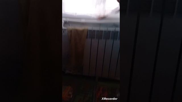 XRecorder_Edited_15052024_184318