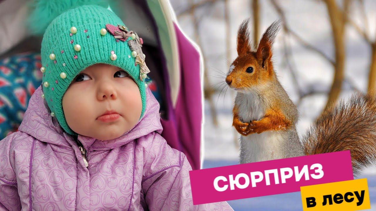VLOG: Неожиданный ГОСТЬ в лесу Юля танцует в МосквеНаши покупочки сегодня