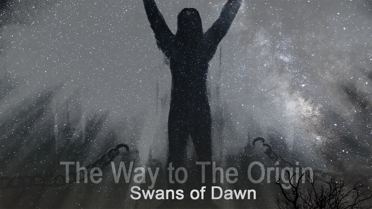 The Way to The Origin - Swans of Dawn