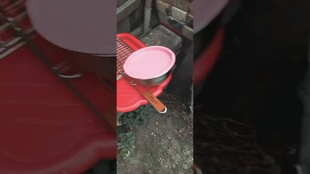 Выходной, шашлык с семьёй!