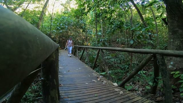 ? Manuel Antonio: Descubriendo un PARAÍSO natural | Costa Rica 4K