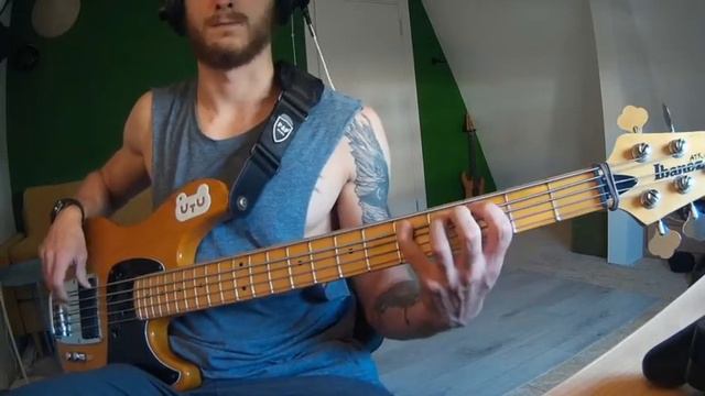 311 - Don't Tread On Me (Bass Cover)