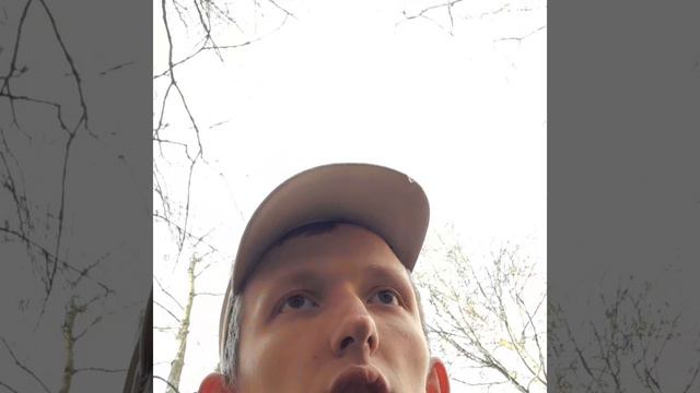 VID_31821108_153511_085