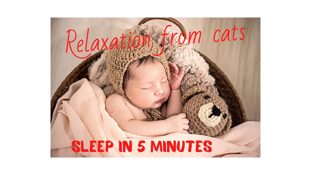Baby lullaby/ the baby fell asleep in 5 minutes/music for sleep/relaxation from cats.