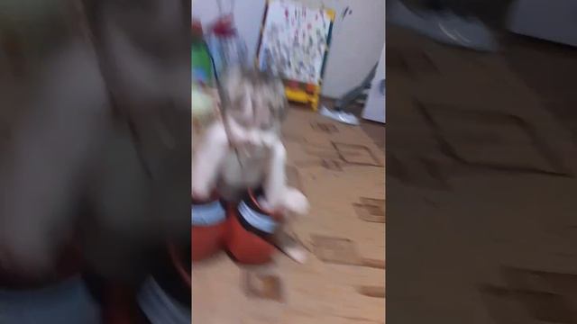 Братик.mp4