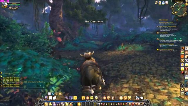 Warcraft Mists of Pandaria PC Gameplay 1080p - RCS Dragon