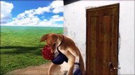 Tekken Tag Tournament 2 : Roger Jr. Ending