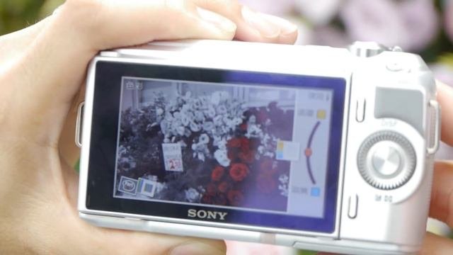 Sony NEX-C3、SLT-A35 台灣發表會（ePrice 比價王）