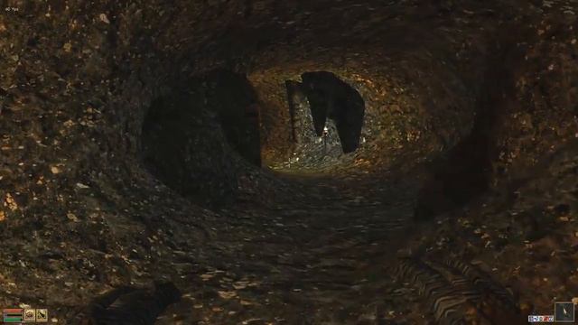 Morrowind, 120 mods, 351