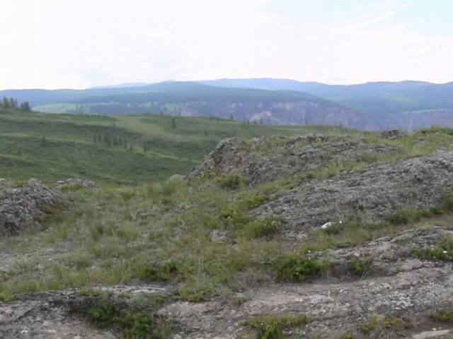 Кату Ярык