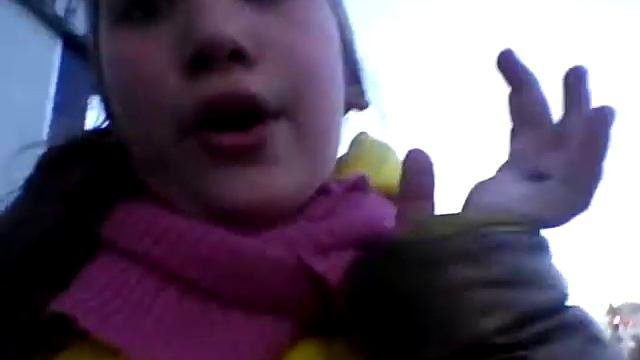 VLOG,1 РАЗ ГУЛЯЕМ С СОБАКОЙ....!