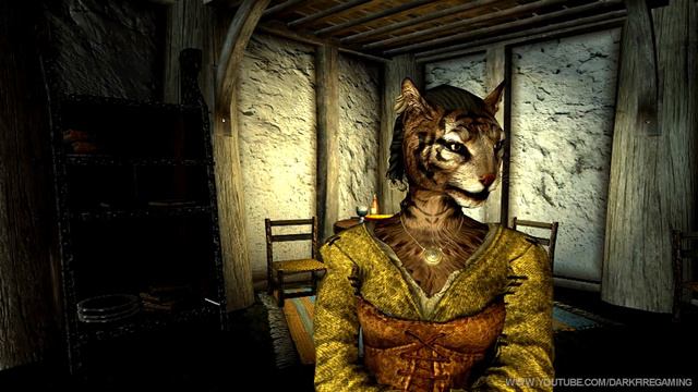 Skyrim: Re-Defined Dungeons, Coverkhajiits, LOTR Glamdring & Hvergelmirs Armor Retexture Mods