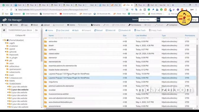 How To Fix | I can not Delete Wordpress plugin and Theme