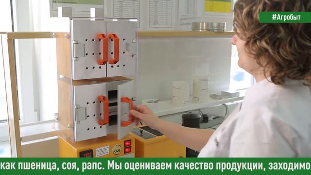 «Почему я работаю в АгроТерре?» – интервью Юлии Шкрабы, заведующей лабораторией в Лукьяновке