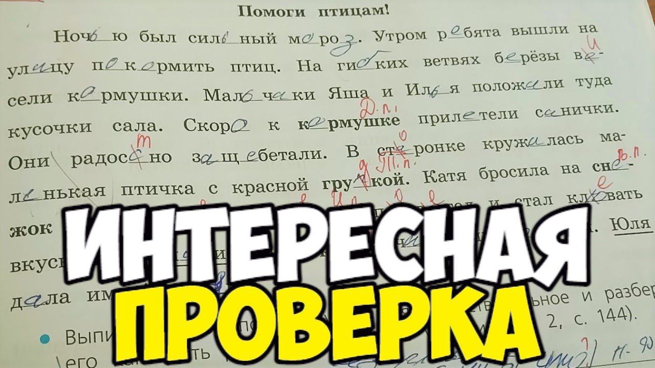 Проверяю проверочные работы по русскому языку 3 класс