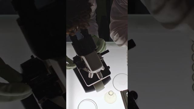 The Quantum Heist