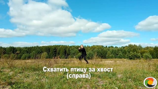 Тайцзицюань Ян 24 формы