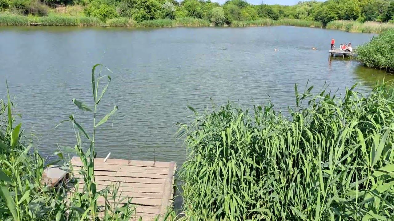 Город Днепрорудный.  Ставок за гаражами. 19.06.2023.