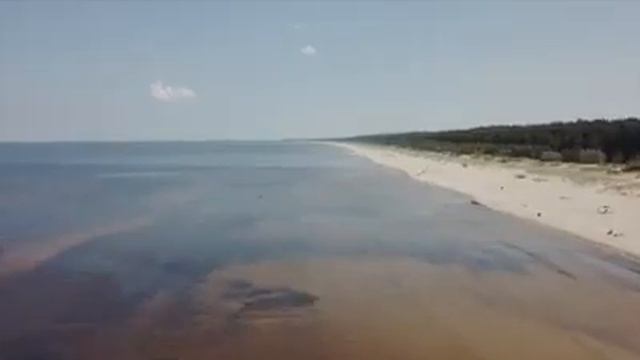 В Европе организованна первая крипто деревня E  VILLAGE