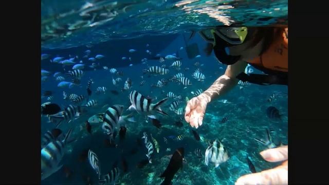 Beach days are best days! El Nido Palawan Trip!