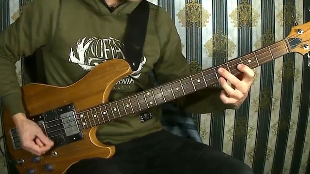 Bass Pick - Vintage Bass