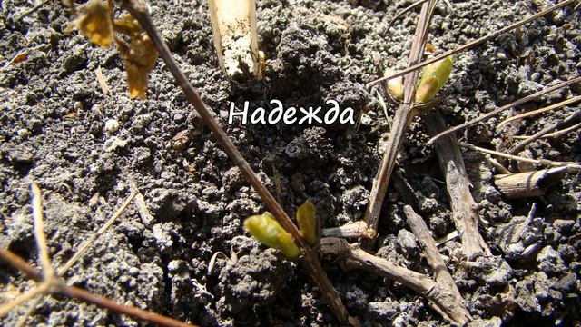 На полях страны. 23.04.2023