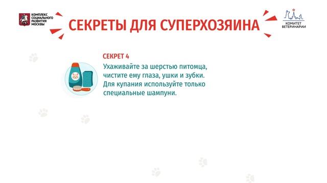 Что должен знать каждый владелец домашнего животного