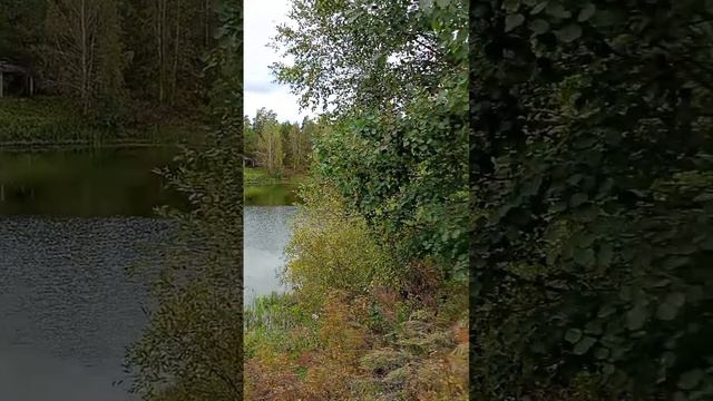 Кафе Мельник #Shorts