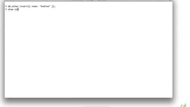 Learning MongoDB part15 deleting